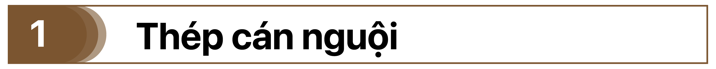 Ảnh 1